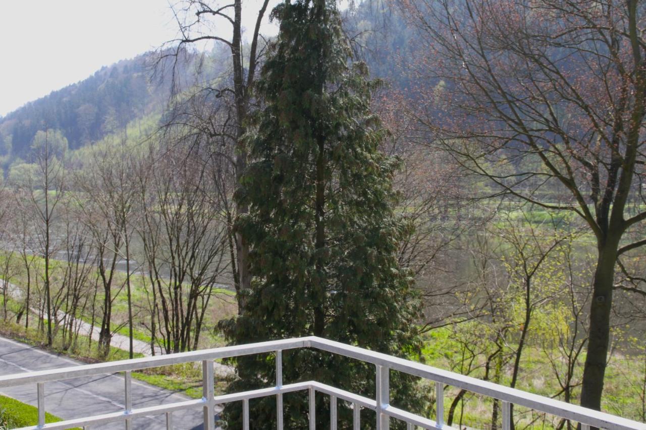 Haus Elbsinfonie Villa Bad Schandau Kültér fotó
